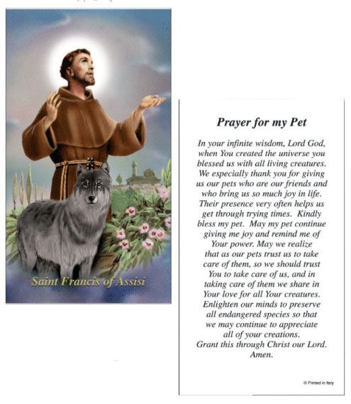 St. Francis of Assisi Prayer For My Pet Paper Prayer Card, Pack of 100