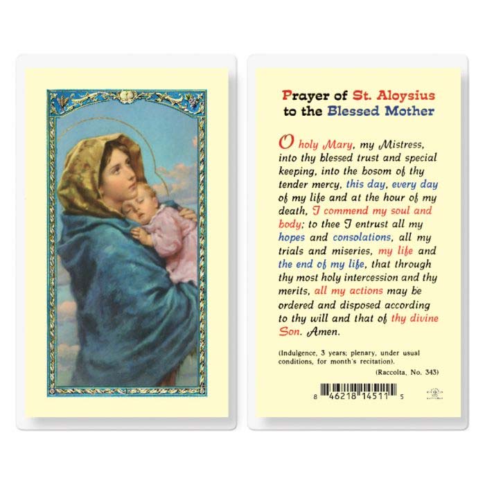 Prayer of Saint Aloysius to the Blessed Mother Laminated Prayer Card