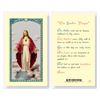 Sacred Heart of Jesus with Lords Prayer Laminated Prayer Card