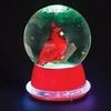 Small LED Lighted Cardinal 3" Water Globe