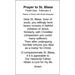St. Blase Paper Prayer Card, Pack of 100 - 123279
