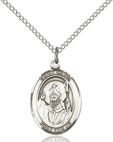 Saint David of Wales Patron Saint Necklace