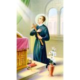  St. Gerard Prayer for Motherhood Paper Prayer Card, Pack of 100