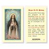 St. Hedwig Laminated Prayer Card