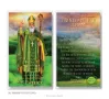 St. Patrick 2.5" x 4.5" Laminated Prayer Card