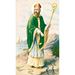 St. Patrick Paper Prayer Card, Pack of 100