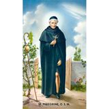 St. Peregrine Paper Prayer Card, Pack of 100