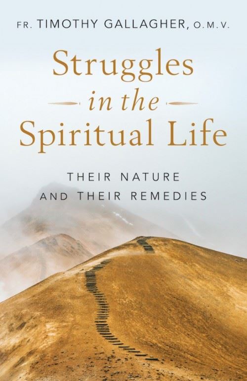 Struggles in the Spiritual Life Their Nature and Their Remedies by Fr. Timothy Gallagher