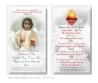 The Divine Child Jesus 2.5" x 4.5" Laminated Prayer Card