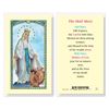 The Hail Mary Laminated Prayer Card
