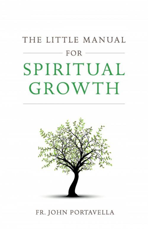 The Little Manual For Spiritual Growth, Paperback