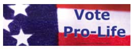 Vote Pro-Life Vinyl Bumper Sticker