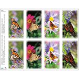 Butterfly Assortment Print Your Own Prayer Cards - 25 Sheet Pack